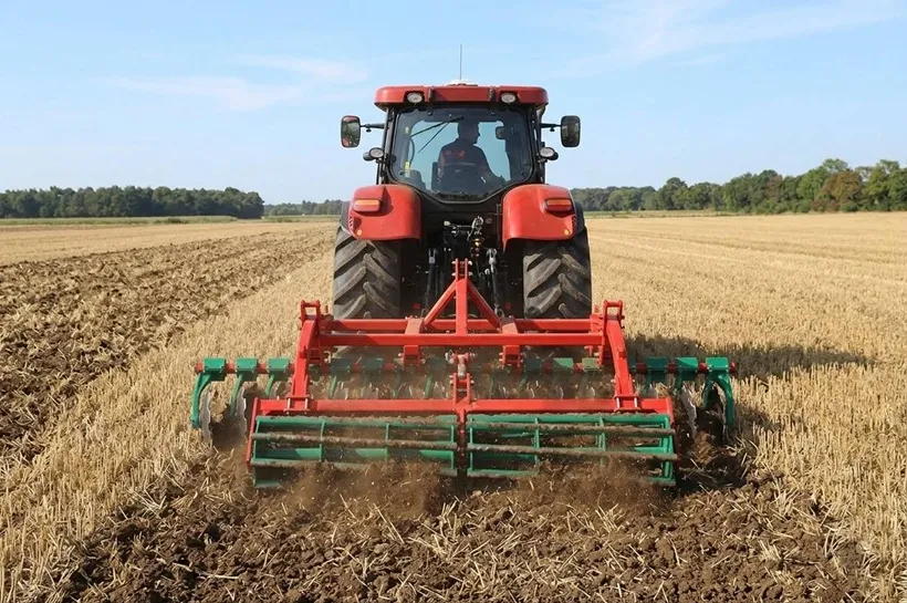 Brona talerzowa - uprawa